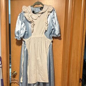 Blue and Cream Dress Alice in wonderland costume plus size